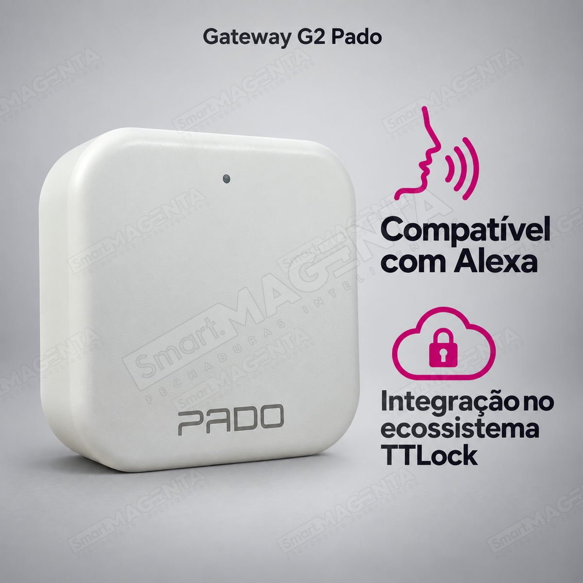 Gateway Hub G2 Pado: Alexa