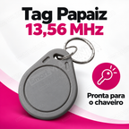 Tag Papaiz 13.56MHz Cinza Fechadura Digital: pronta para o chaveiro